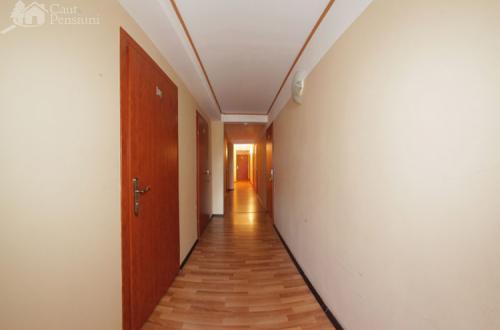 Pensiunea Ivu Si Raul Giroc Exterior foto